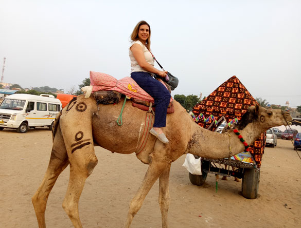 Paseo en camello por Pushkar