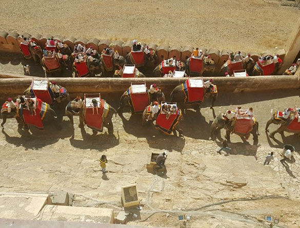 Elephant ride at Fuerte Amber Jaipur